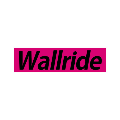Wallride BOX LOGO STIKER PINK