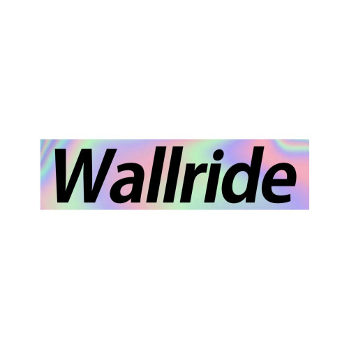Wallride BOX LOGO STIKER HOLOGRAPHIC